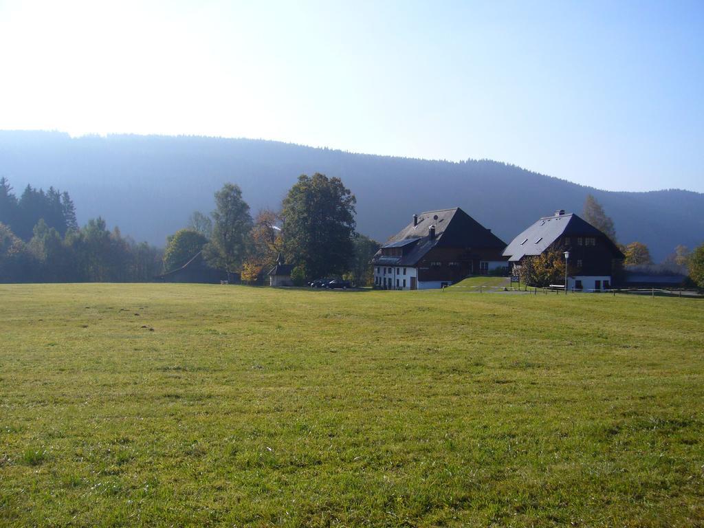 Hermeshof Und Biohaus Titisee-Neustadt Dış mekan fotoğraf